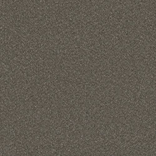 BLAZER III in Rugby Carpet