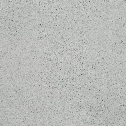Simply Amazing in Antique Silver Carpet