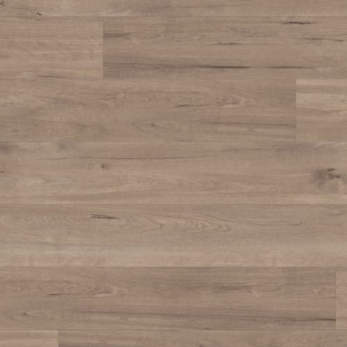Van Gogh Rigid Core in Frosted Birch Luxury Vinyl