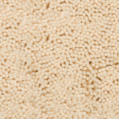 Sumptuous in Natural Carpet