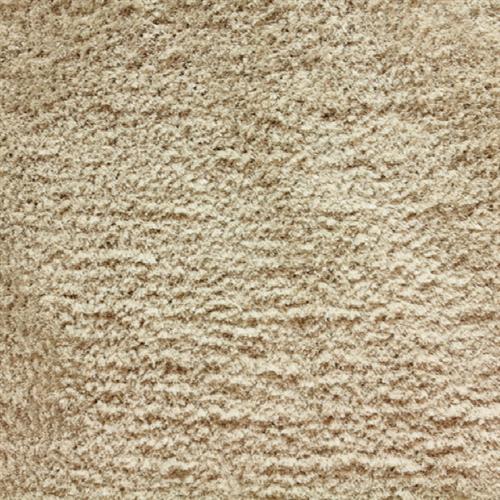 Shaggy Posh in Beachwood Carpet