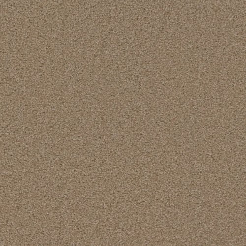 SP250 in Sawgrass Carpet