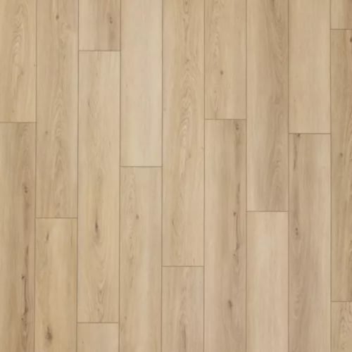 Timber Brook in Pierre Luxury Vinyl