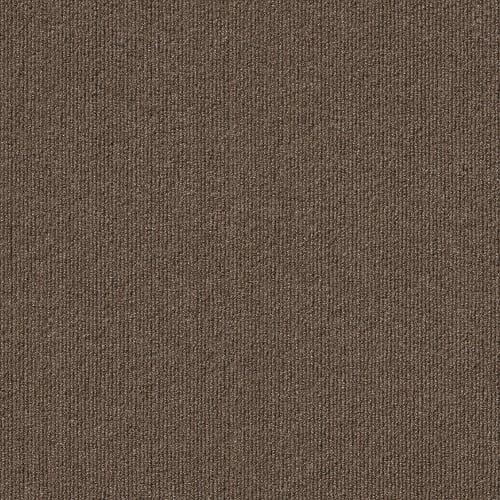 Sanford in Pecan Carpet