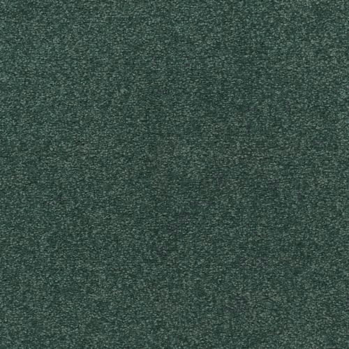 Somerset Bay in Willow Carpet