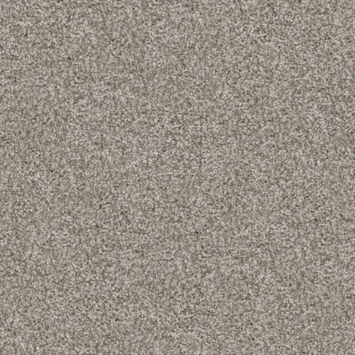 Shepherd in Chow Chow Carpet