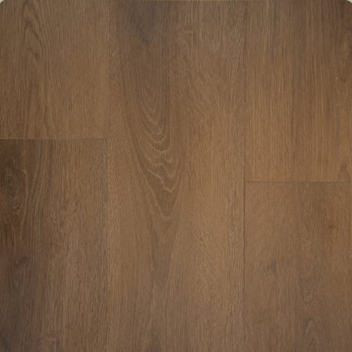 NuvoMax 8 - Sherwood in Sherwood Burnished Brown Laminate