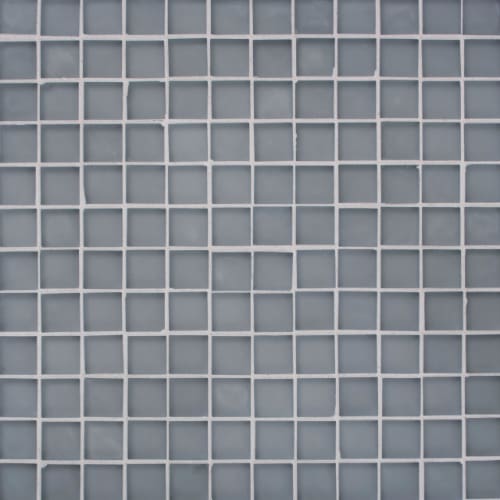 Uniquely Oceanside - Matte 1 x 1 in Silverlight Glass Tile