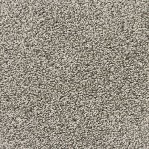 Soft Charm in Galaxy Carpet