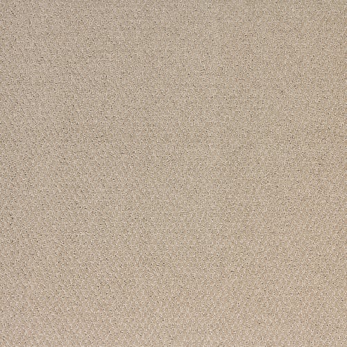 Sonoma in Barnwood Carpet