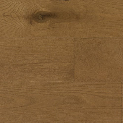 Source Collection - Red Oak Synergy Engineered 1/2 " in Intact 6 1/2 " Hardwood
