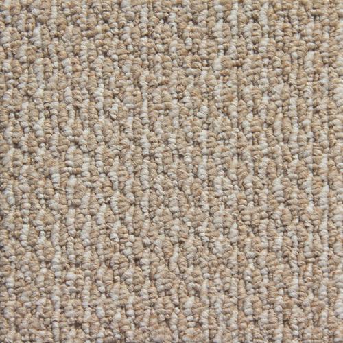 Starlight in Timberlake Carpet