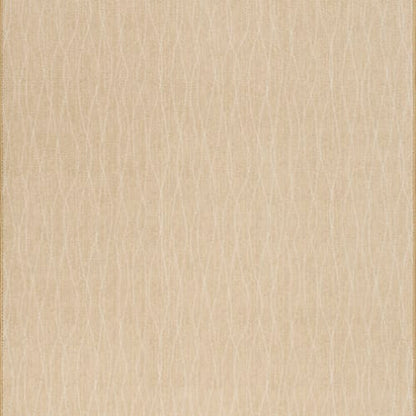 Streamline - Pampas in Pampas Area Rugs