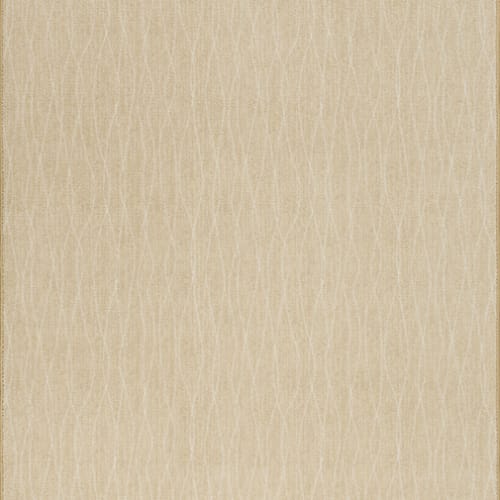 Streamline - Pampas in Pampas Area Rugs
