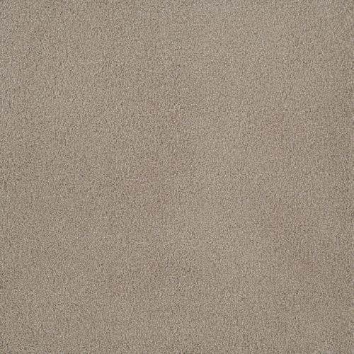 PALMETTO III in Sun Washed Carpet