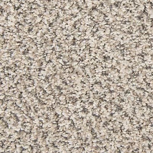 Tectonic in Silver Dollar Carpet