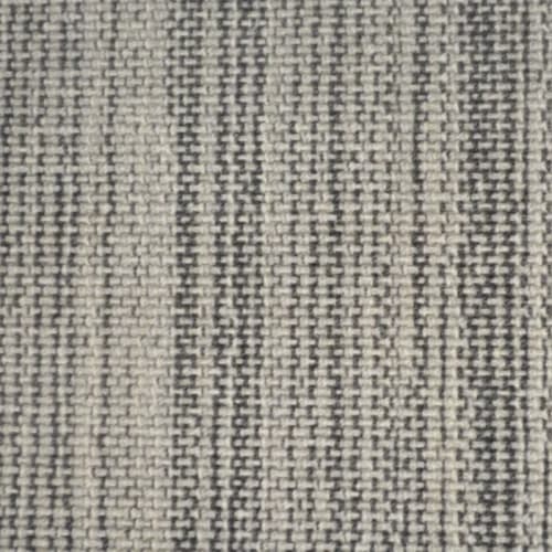 Tempe in Coyote Carpet