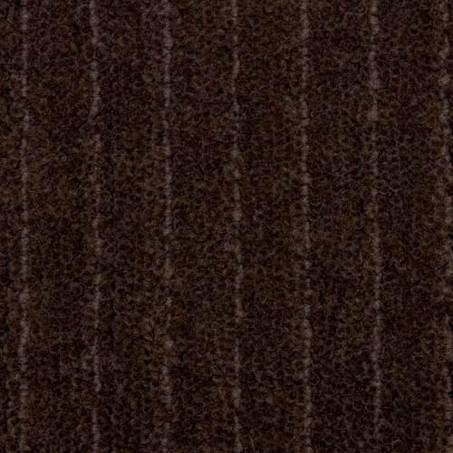 Pathway in Brown Carpet