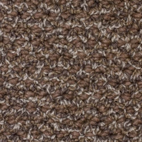 Winter Palace in Brown Carpet