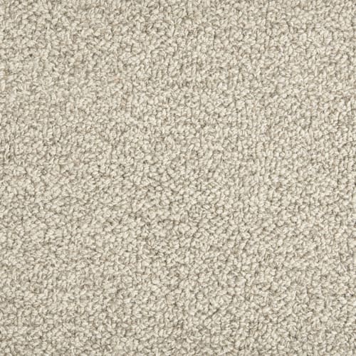 Trailblazer in Earl Grey Carpet