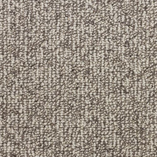 Calico in Nickel Carpet
