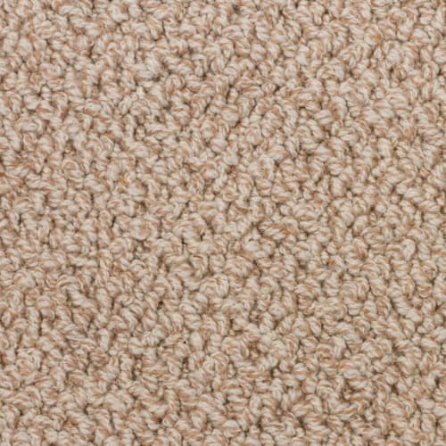 Collins in Fawn Carpet