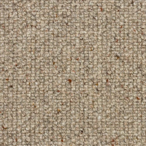 Dublin in Cedar Grove Carpet