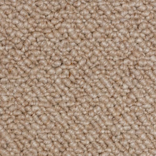 Terra Bella in Cafe Mocha Carpet