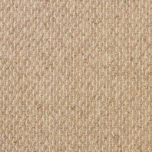 Yellowstone in Ashton Beige Carpet