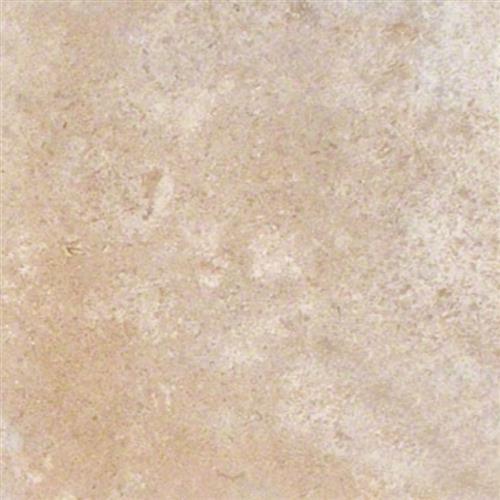 Tuscany Walnut in Tuswa-12x24 Natural Stone
