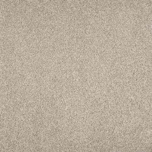 Tristan Plush II in Driftwood Carpet