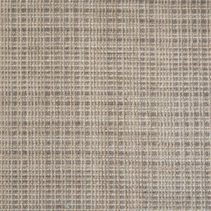 Union in Platinum Carpet