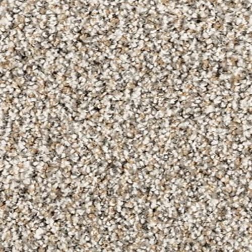 Luxuriant Space in Urban Carpet