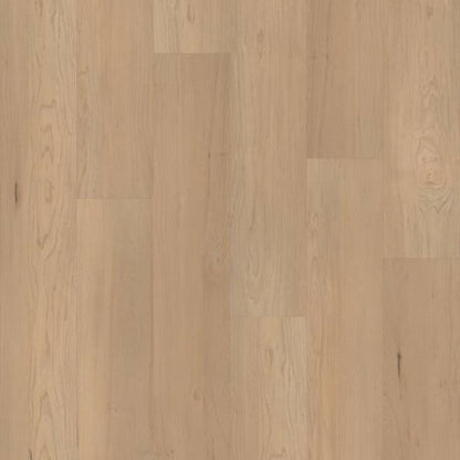 CORETEC PRO PREMIUM VV800 in Douglas Maple Luxury Vinyl