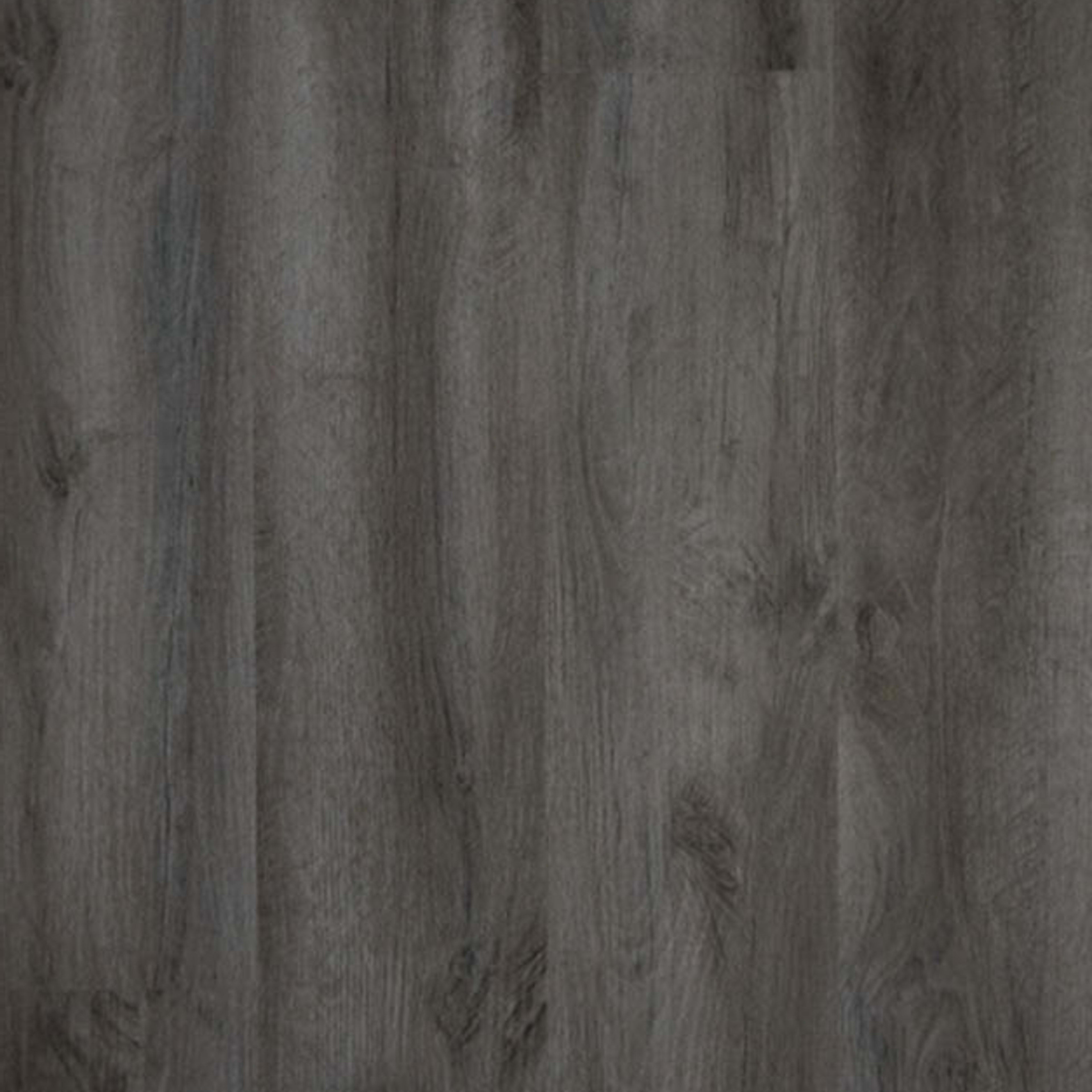 Borrowed Scenery in East End Luxury Vinyl