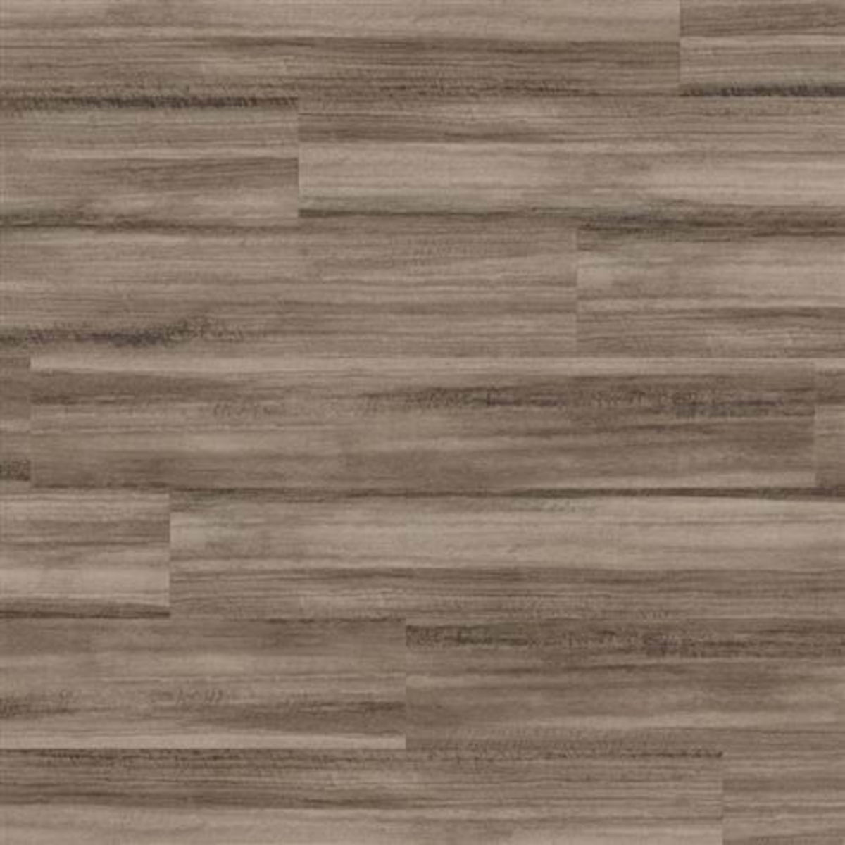 Opus in Canitia Luxury Vinyl