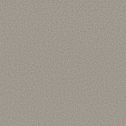 AVALON BAY in Moth Gray Carpet