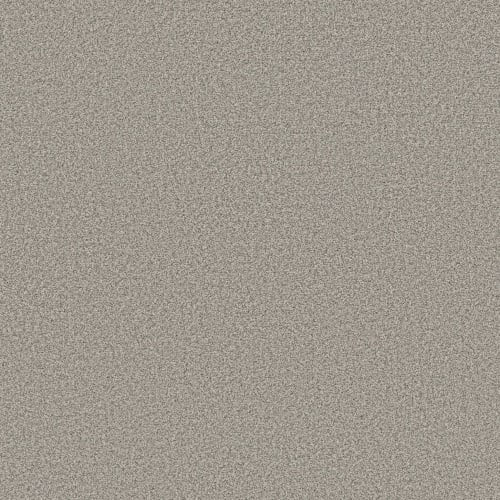 AVALON BAY in Moth Gray Carpet