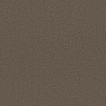 SOMERSET in Sable Carpet
