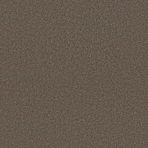 SOMERSET in Sable Carpet