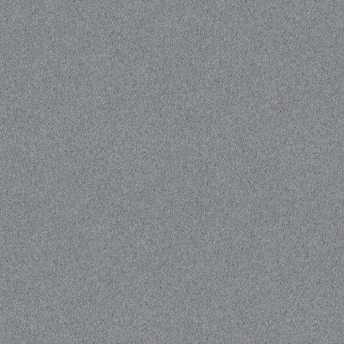 Ab310 in Shale Carpet