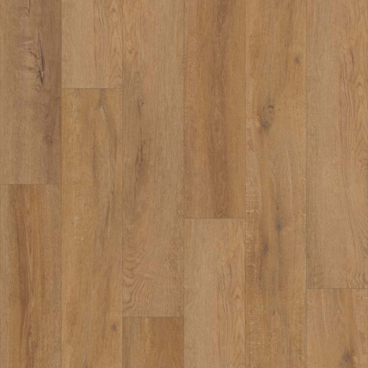 TREASURE COVE in Grande Baltra Oak