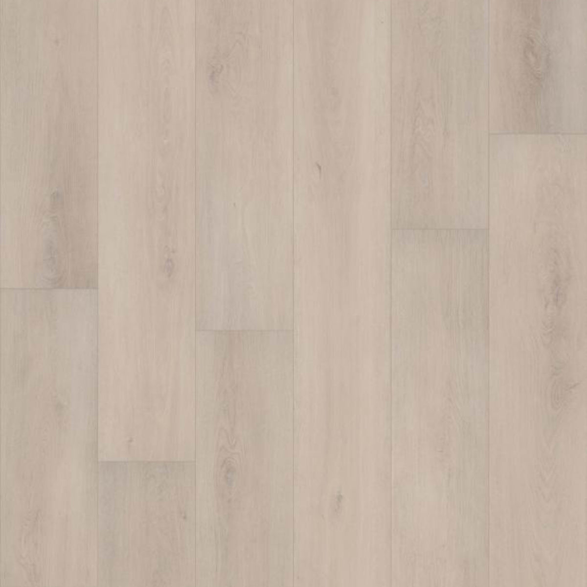 TREASURE COVE in Grande Tortue Oak
