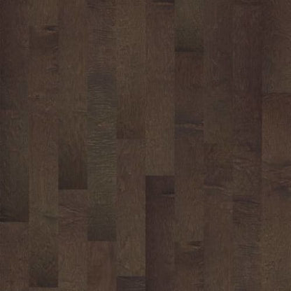 BOMBATO in Bayfront Hardwood