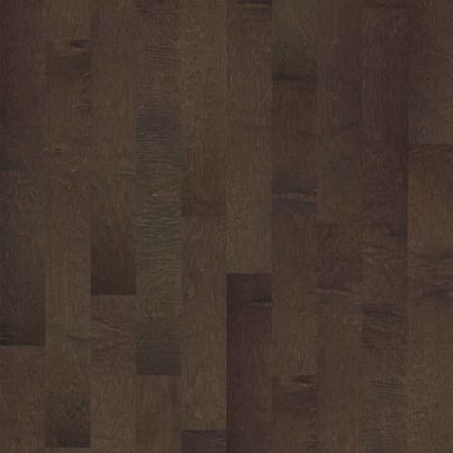 BOMBATO in Bayfront Hardwood