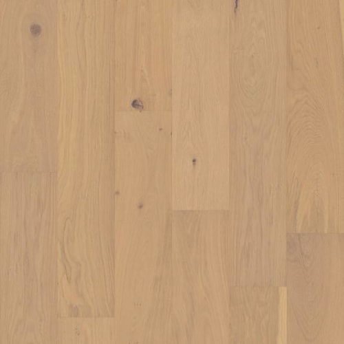 HENSLEY PARK in Champagne Hardwood