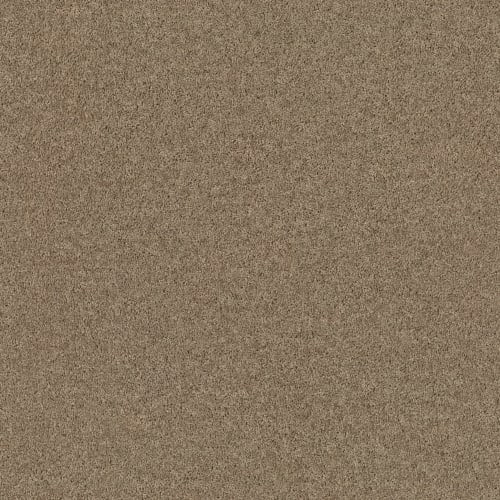 Bx001 in Cappuccino Carpet