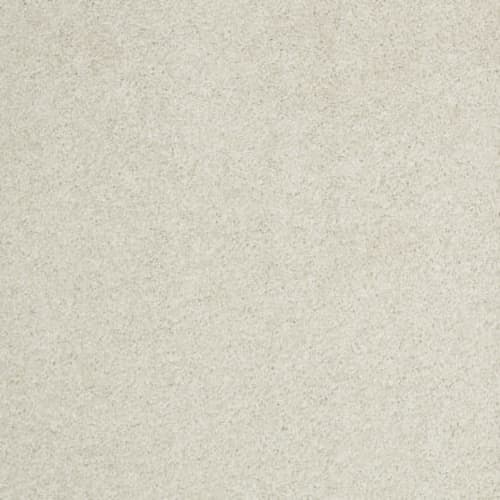Cashmere I