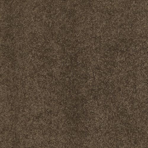 Cashmere I