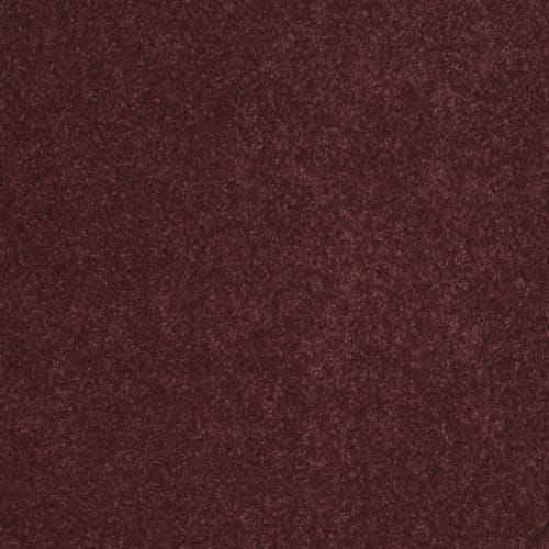 Cashmere I